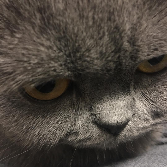 光速团队直播间关注粉丝_光速团队粉丝留言_