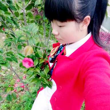 相识是缘份的主页-YY直播-YY.COM中国领先的