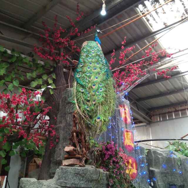 笑对人生【帝王】小怪兽最新直播作品全集_笑