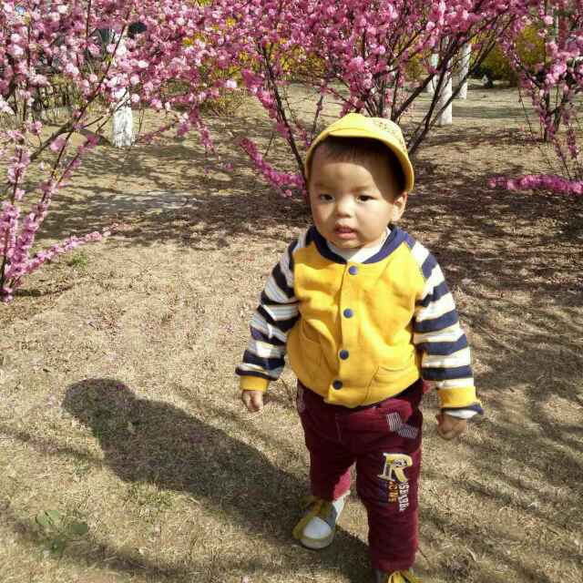 【刘老根】萧 寒 «守护董明珠»直播间关注粉