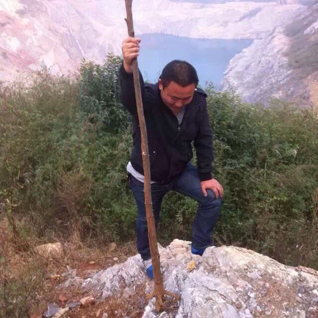 独孤求醉