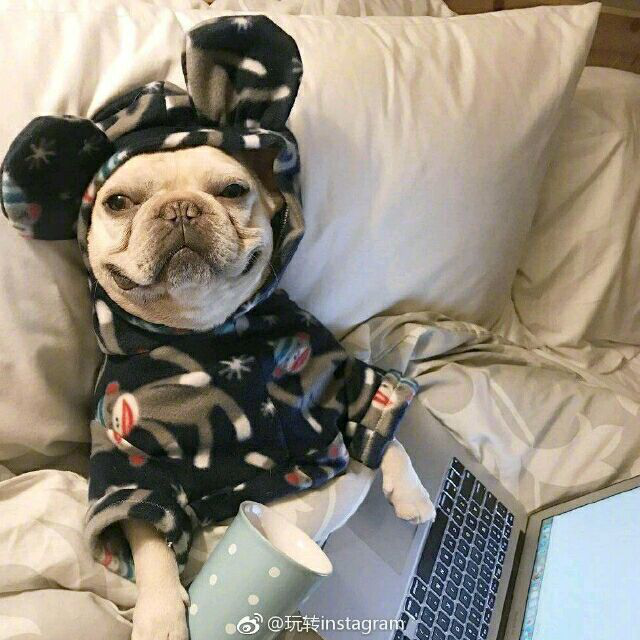 大魔王直播间关注粉丝_大魔王粉丝留言_大魔