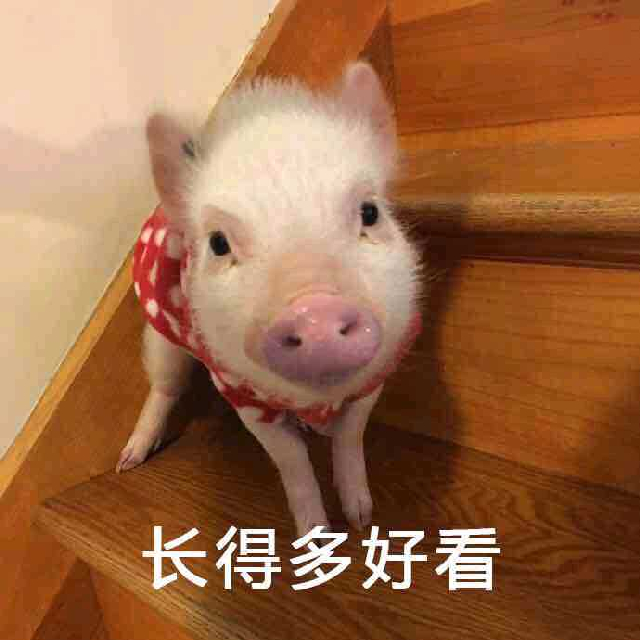 【聚点】阿坝 聚点传媒招收主播直播间关注粉