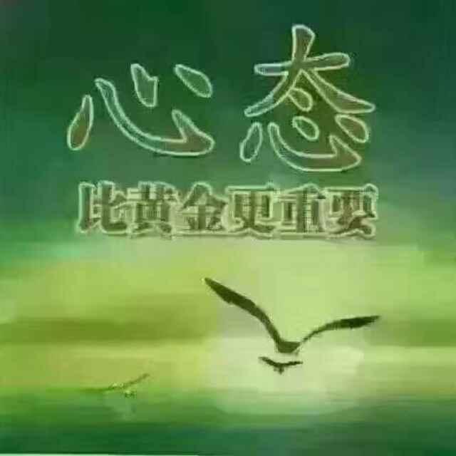 云淡风轻 关注