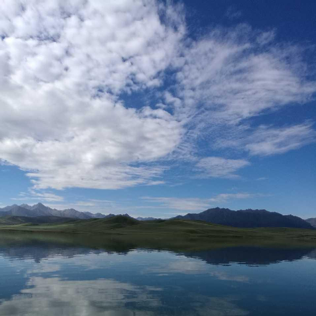 笨笨熊_255094视频直播全集_笨笨熊_255094