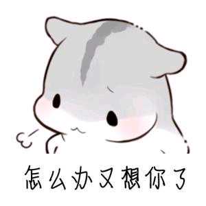 小相公