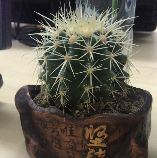 头像截图