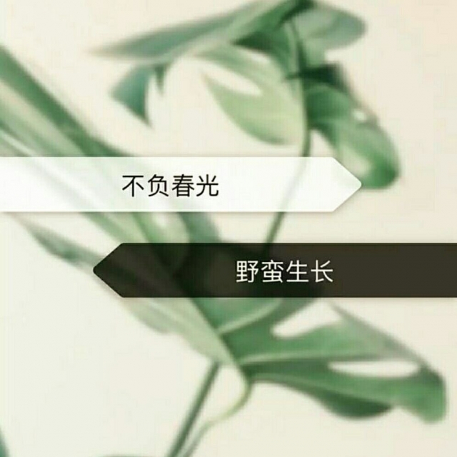 小野猫-乔薇