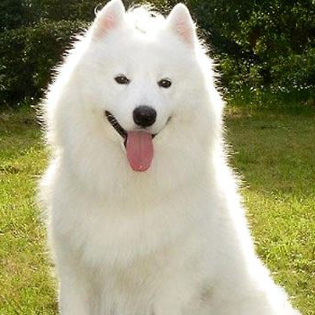 带刺的茄子直播间关注粉丝_带刺的茄子粉丝留