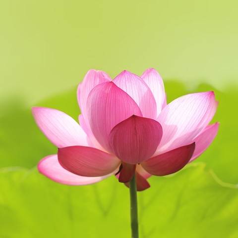 jiajiajia啊啊啊啊