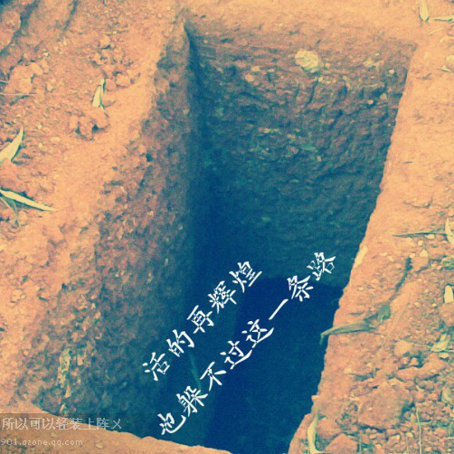 洋洋c1727&deg;照片yy洋洋c1727&deg;个人相册私照_洋洋c17