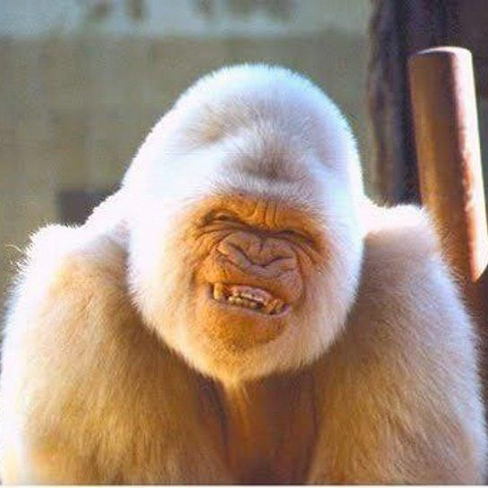 216694××【关注星儿20号生日】