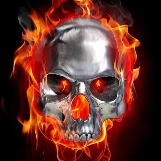 tz丶猎人°【战队股东】泰州