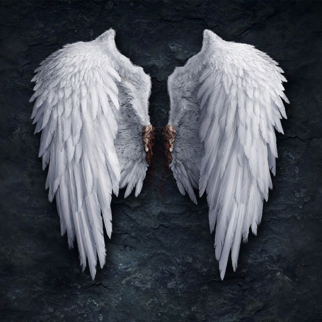 语音风采哥直播间关注粉丝_语音风采哥粉丝留