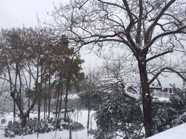 911视频直播全集_911资料大全-YY官方