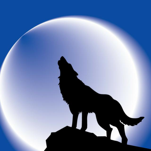 >9712 夜狼『广东九区』