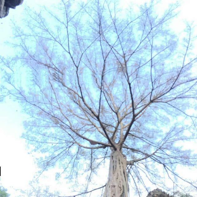 徐小明直播间关注粉丝_徐小明粉丝留言_徐小