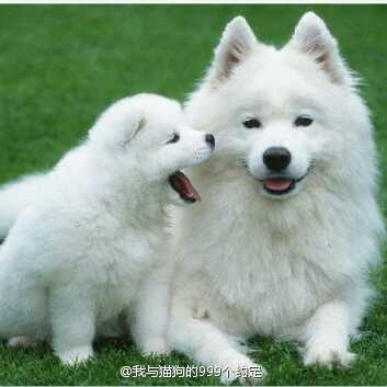 海内存知己天涯若比邻直播间关注粉丝_海内存