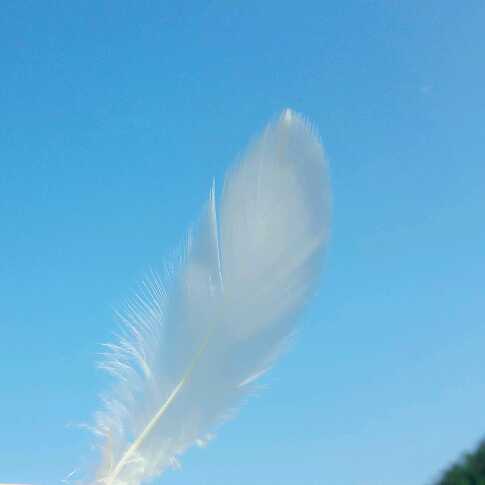 时光自此有温度视频直播全集_时光自此有温度