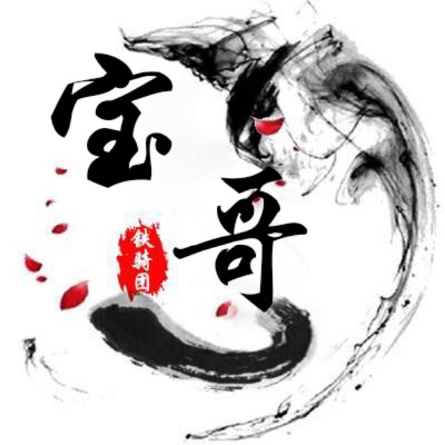 宝哥【77 铁骑团】