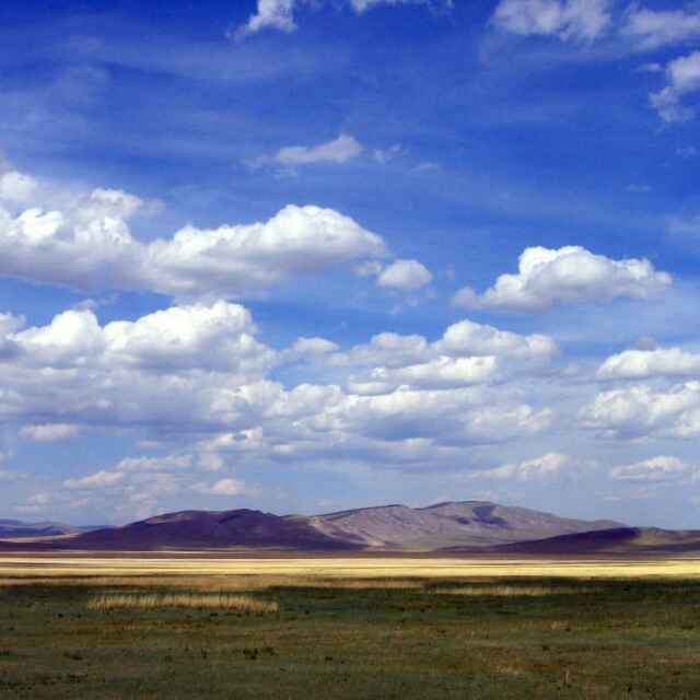 王者第一刺客直播间关注粉丝_王者第一刺客粉