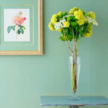 陌陌直播间关注粉丝_陌陌粉丝留言_陌陌粉丝