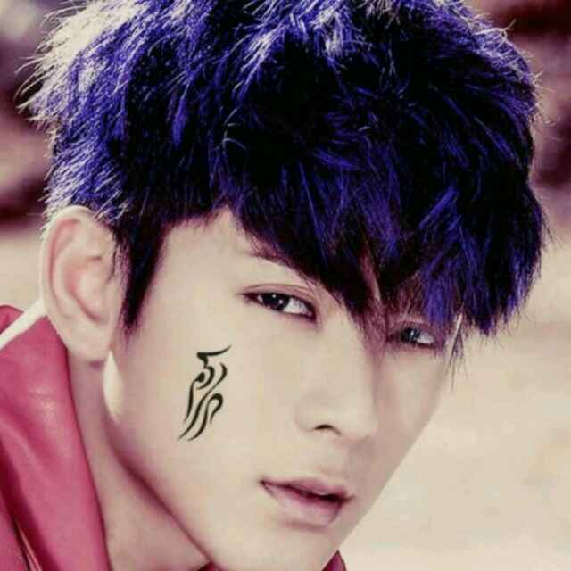 枫树视频直播全集_枫树资料大全-YY官方