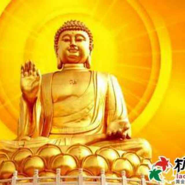 平阳寺镇中行村,佛缘观香视频直播全集_平阳寺