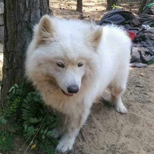 CC钓鱼教学直播间关注粉丝_CC钓鱼教学粉丝