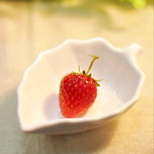 半夏微凉.