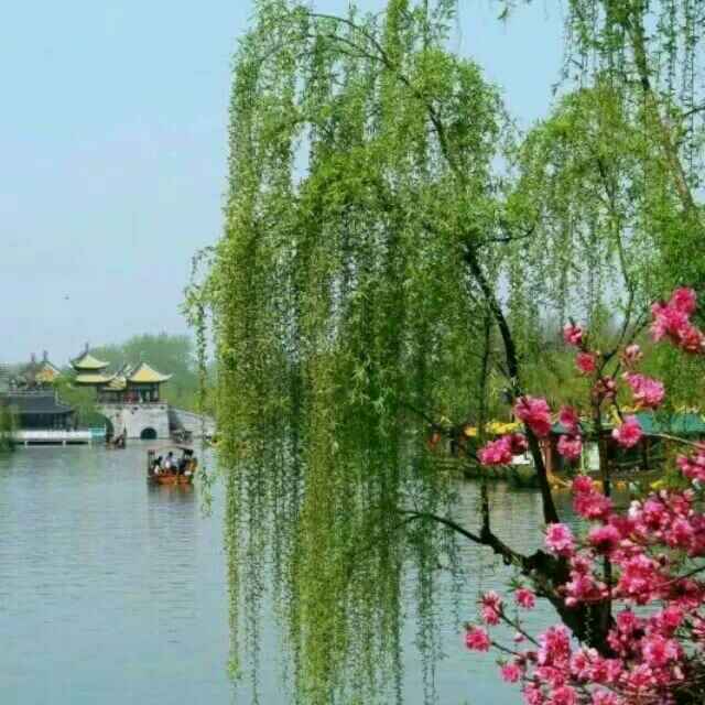 小小黄飞直播间关注粉丝_小小黄飞粉丝留言_