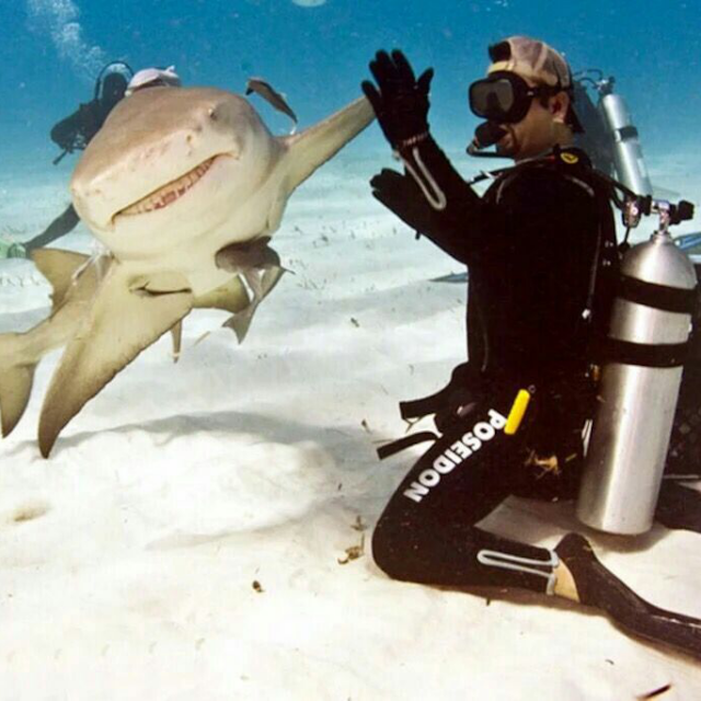 鲨鱼哟&middot;照片yy鲨鱼哟&middot;个人相册私照_鲨鱼哟&middot