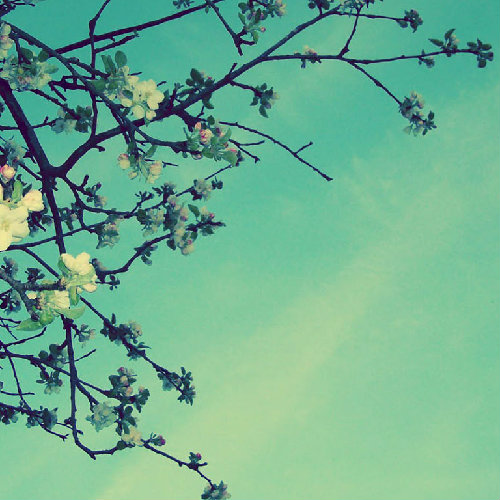 骚狼XXX-MiSS直播间关注粉丝_骚狼XXX-MiS