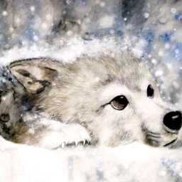 卸甲封刀视频全集_卸甲封刀全部视频-YY官方