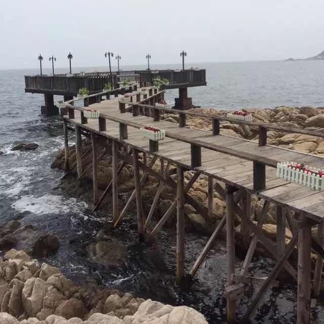 JLE视频直播全集_JLE资料大全-YY官方