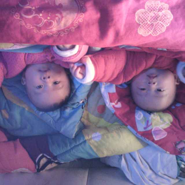 CC钓鱼教学直播间关注粉丝_CC钓鱼教学粉丝