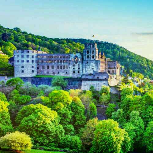 请叫我铁甲小宝直播间关注粉丝_请叫我铁甲小