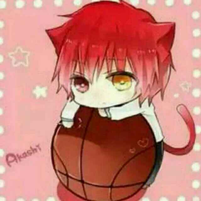 臣遵旨视频直播全集_臣遵旨资料大全-YY官方