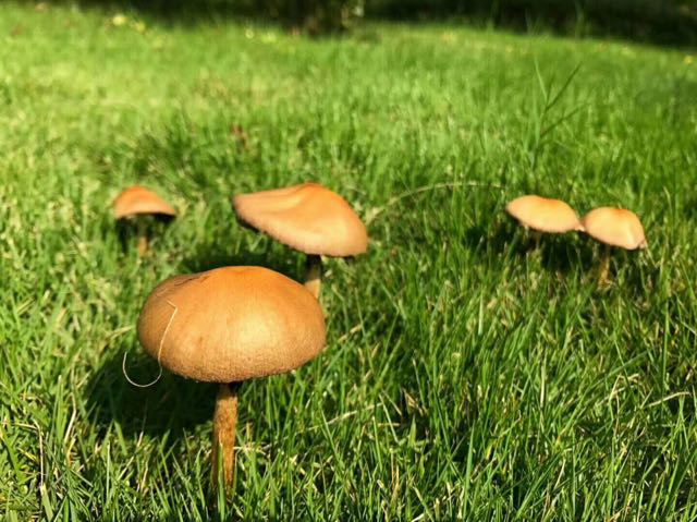 那一夜我对着自己开了一枪