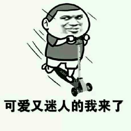 u372443163t2dq7B-F.jpg