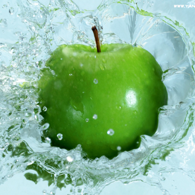 72&deg;wyg﹏ 小 钻 &laquo;守护②族&raquo;照片yy72&deg;wyg﹏