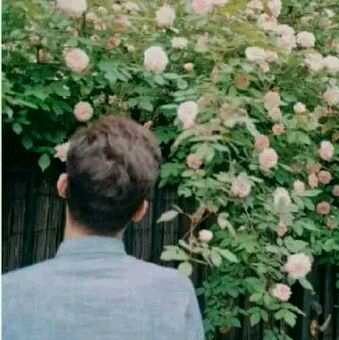 a简介 a背景介绍 Yy官方