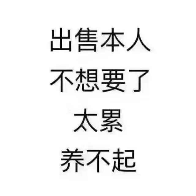 sr゛雪宝宝呀 新主播求关注