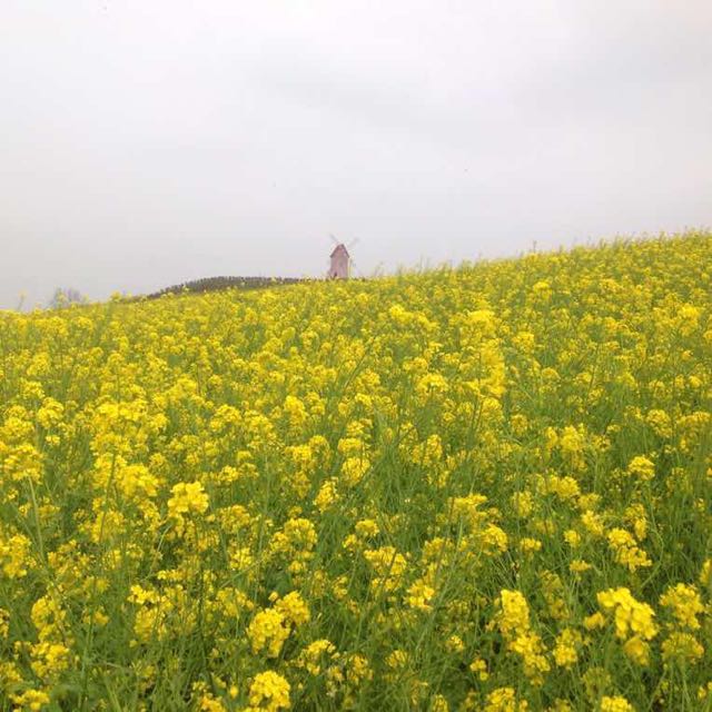 股美视频直播全集_股美资料大全-YY官方