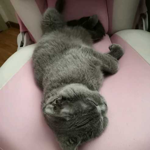 马桶直播间关注粉丝_马桶粉丝留言_马桶粉丝