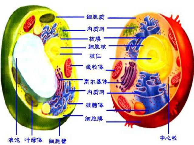 踾;讆y闾
