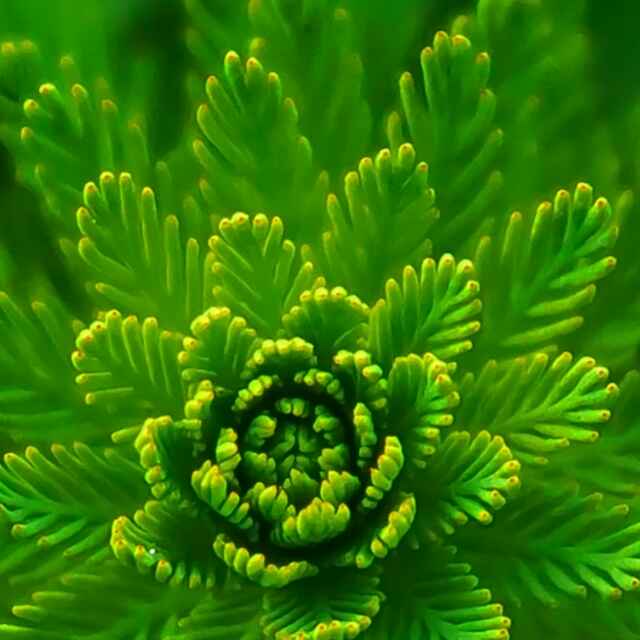 温柔的陌陌直播间关注粉丝_温柔的陌陌粉丝留