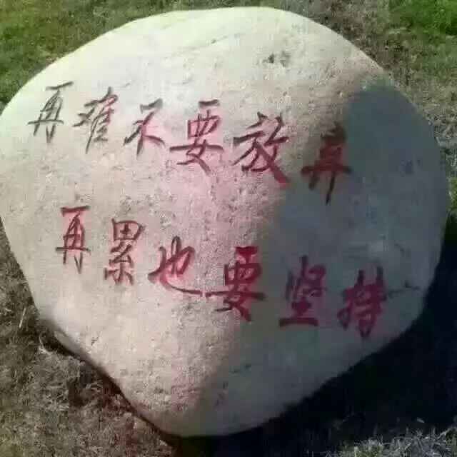 无悔人生