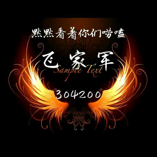 304200发哥(飞家场控)