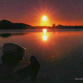 【芒果】战 神【战为老狼】直播间关注粉丝_【